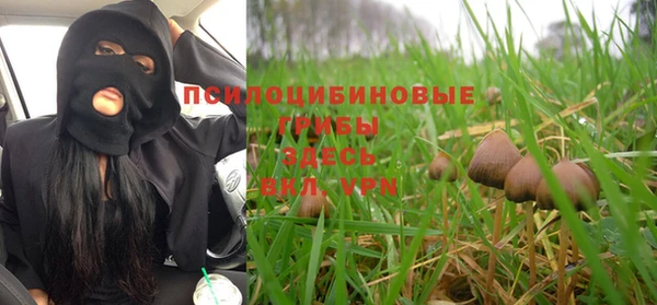 герыч Алзамай