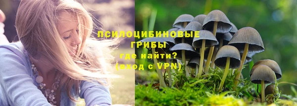 a pvp Абаза