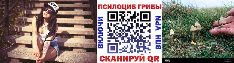 Галлюциногенные грибы Psilocybine cubensis  Магнитогорск 